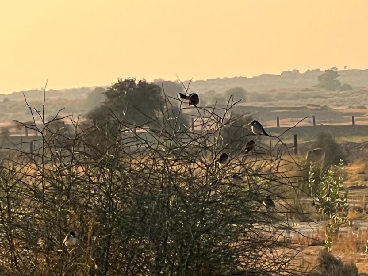 Golden Villa جيلسامر المظهر الخارجي الصورة